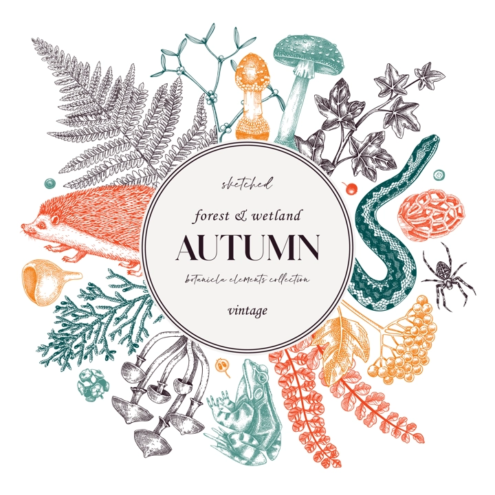 Autumn card or invitation. Forest plants design. Fall wreath with fall leaves and woodland animals. Falling leaves, mushrooms, ferns sketches. Hand drawn vector illustration